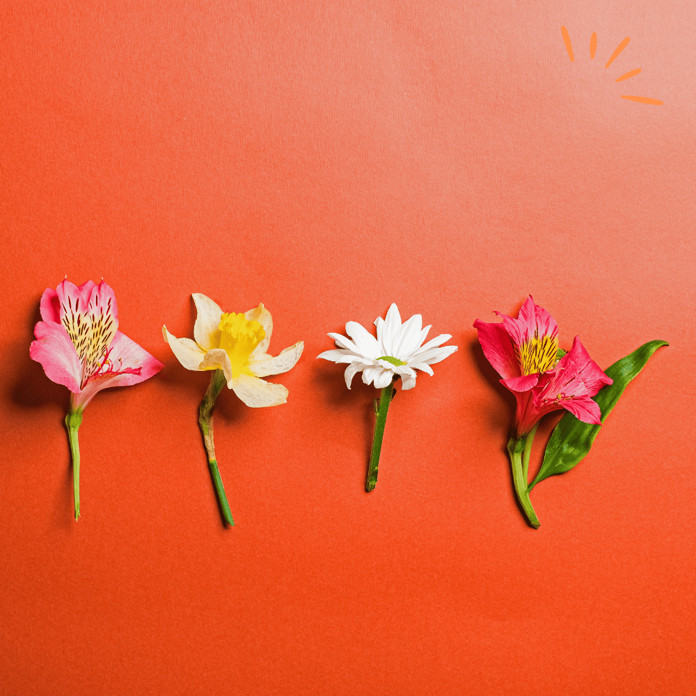 Building Trust and Confidence with your E-Commerce Customers: 2024 Guide