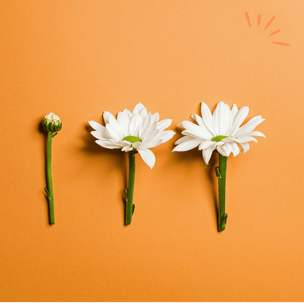 Launching an eCommerce Store: Everything you need to know